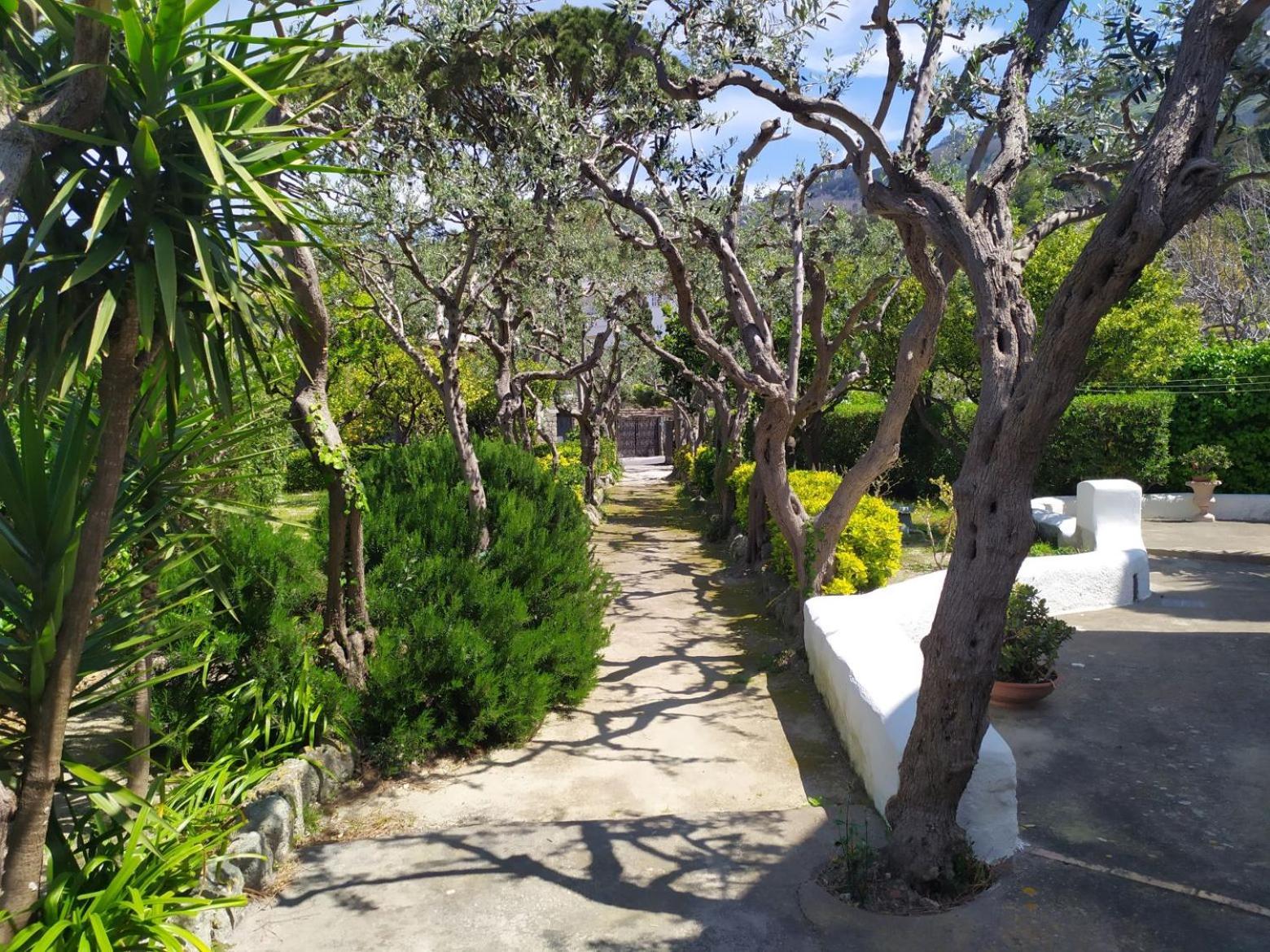 Villa Ravino Secret Retreat Forio di Ischia Zewnętrze zdjęcie