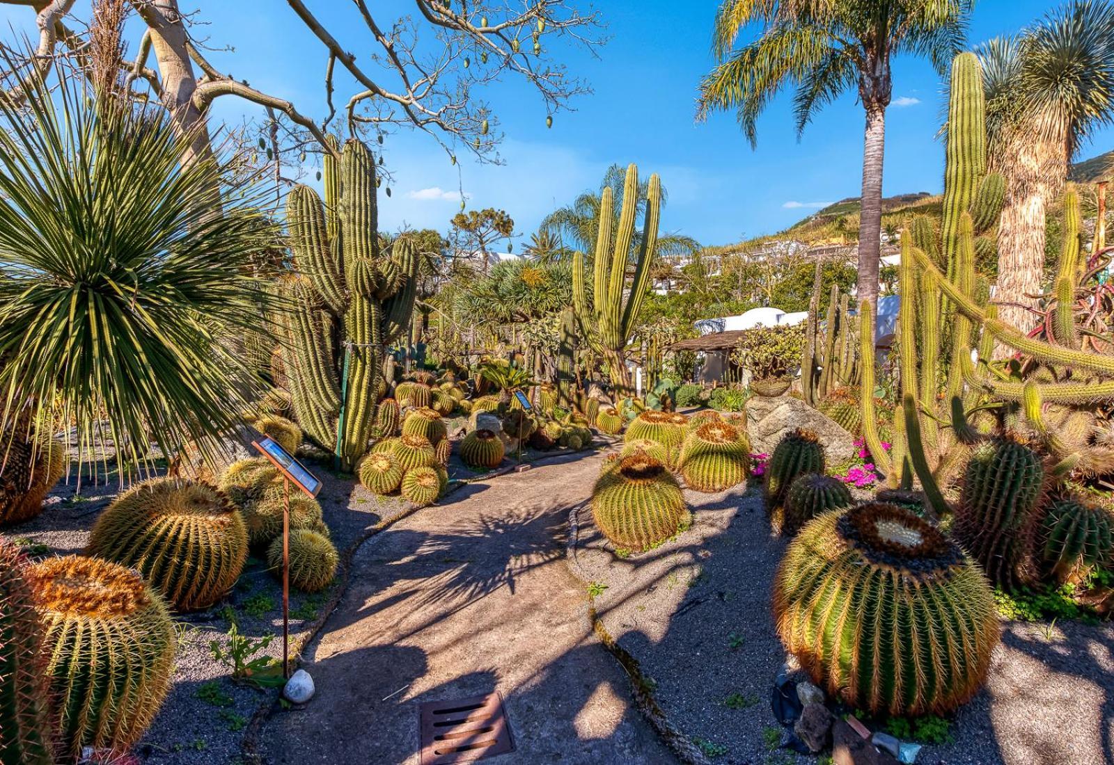 Villa Ravino Secret Retreat Forio di Ischia Zewnętrze zdjęcie