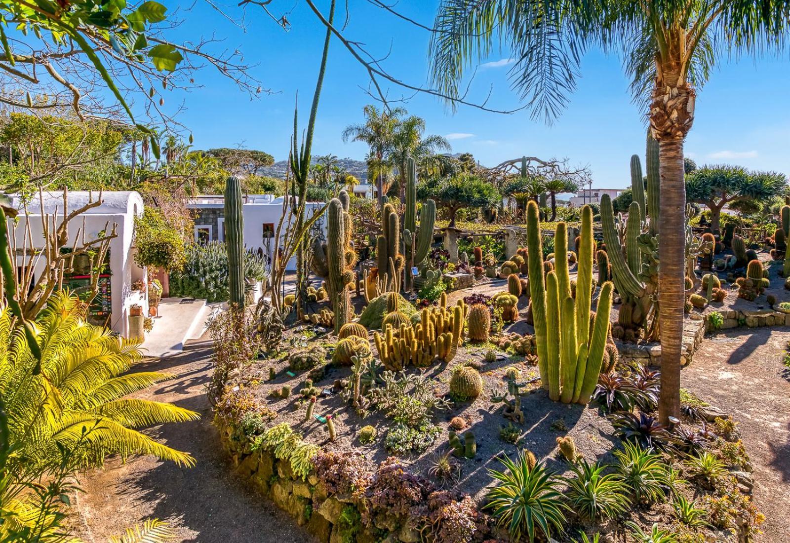 Villa Ravino Secret Retreat Forio di Ischia Zewnętrze zdjęcie
