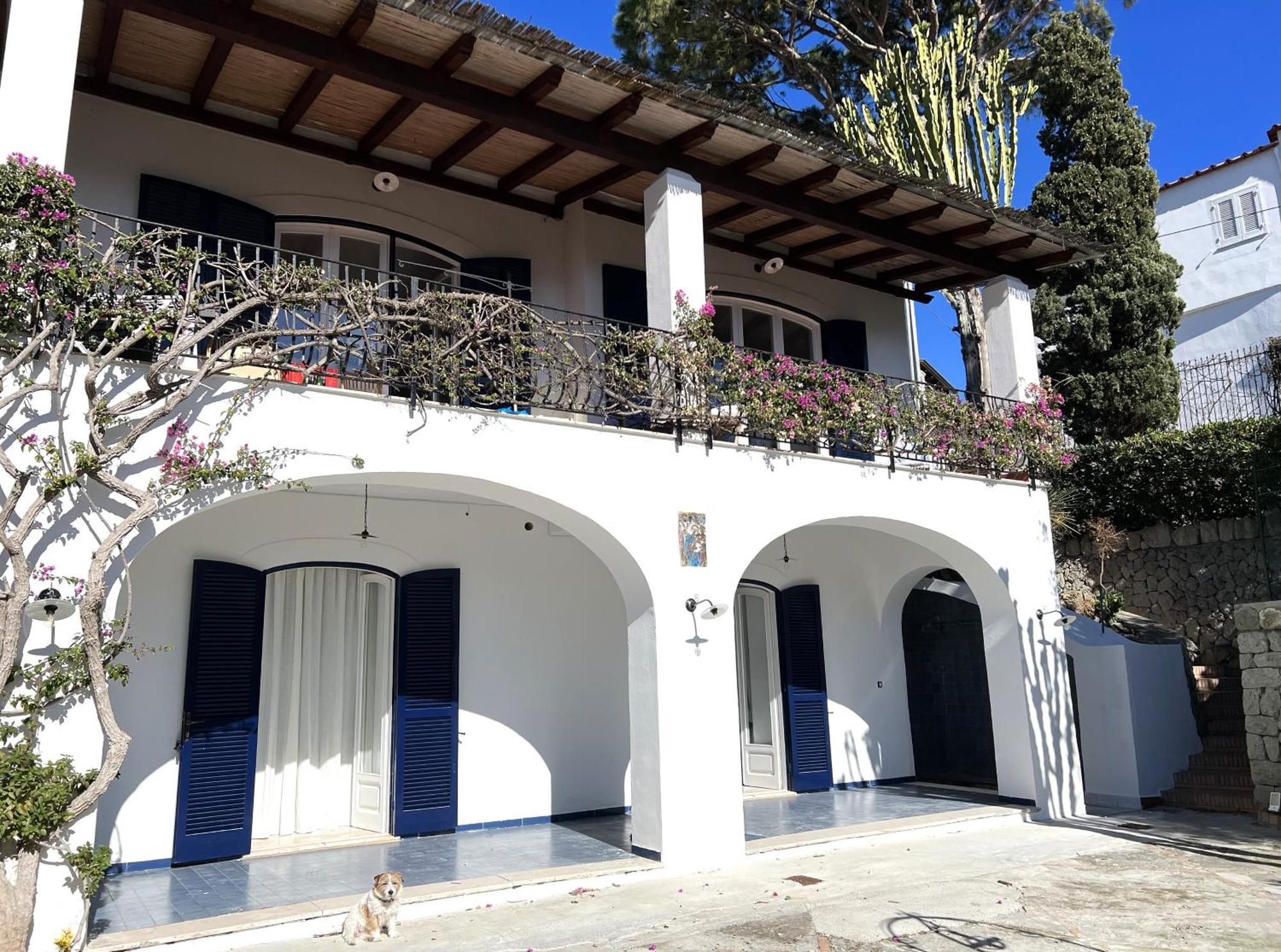 Villa Ravino Secret Retreat Forio di Ischia Zewnętrze zdjęcie